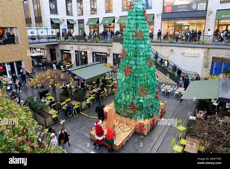 Burdeos Francia 23 de diciembre de 2023 Ecología y árbol de Navidad