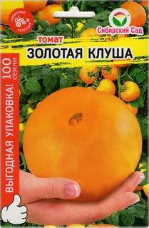 Семена овощей :: томат ЗОЛОТАЯ КЛУША - От посадки до уборки