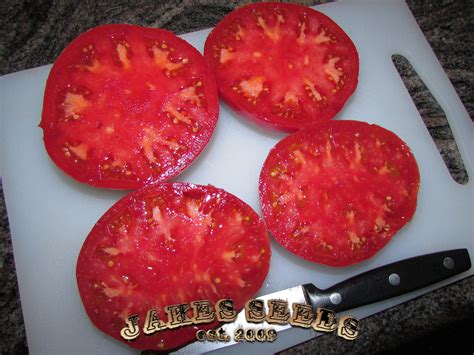 Brandywine Heirloom Tomato - Jake's Seeds