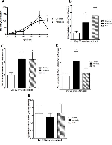 Figure From Alteration Of Mammary Gland Development And Gene