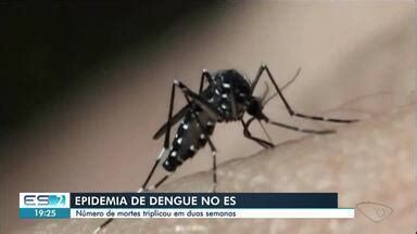 Boa Noite Esp Rito Santo Mortes Por Causa Da Dengue Triplicam Em Duas