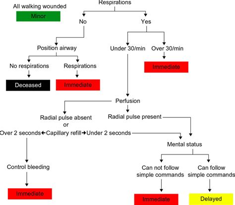 Triage Process Flow Chart