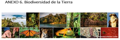 La Biodiversidad De Los Países Megadiversos Nueva Escuela Mexicana