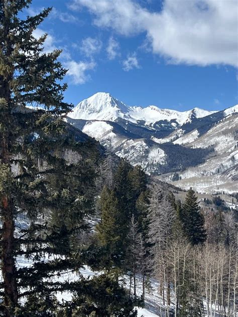 Aspen Alpine Adventure stock photo. Image of cold, nature - 325944692