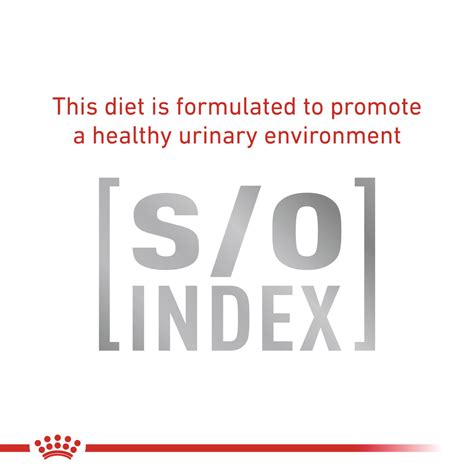 Neutered Satiety Balance | Royal Canin UK