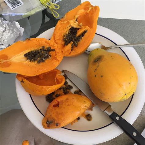 Gmo Papayasolo Papayas In Florida