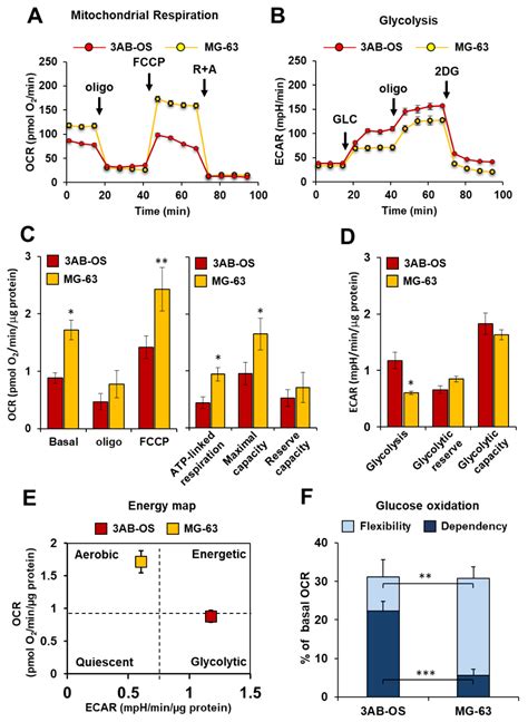 Biomedicines Free Full Text Unveiling Metabolic Vulnerability And