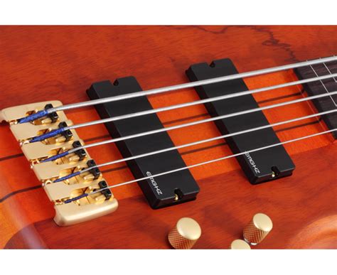 Пятиструнная безладовая бас-гитара SCHECTER STILETTO STUDIO-5 FL HSN ...