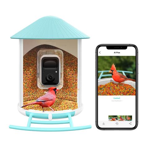Say Goodbye to Missed Opportunities: Birdfy Lets You Monitor Birds ...