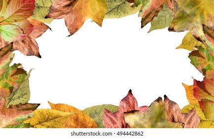 47 Fall Newsletter Banner Stock Photos, Images & Photography | Shutterstock