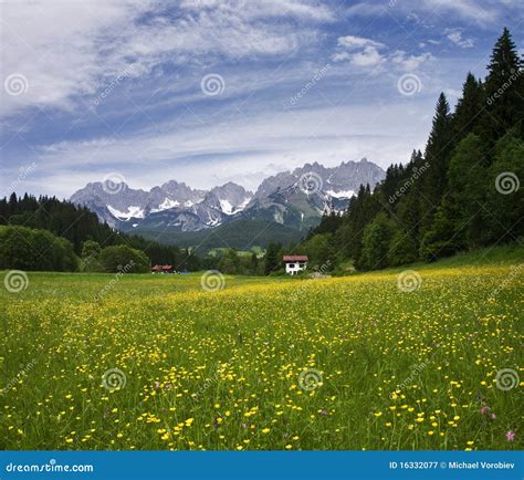 Summer In Tirol Stock Image Image Of Freedom Woods 16332077