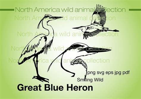 Great Blue Heron Svg Clipart Vector Graphic Art Bird Cut File Etsy