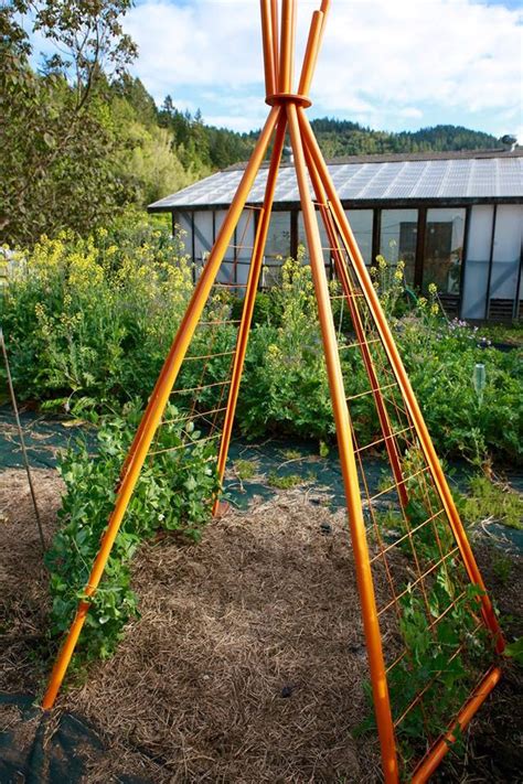 Annabel Garden Tipi Garden Teepee Modern Garden Teepee Trellis Tipi