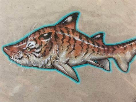 Tiger Shark Original Drawing by JustTeeJay