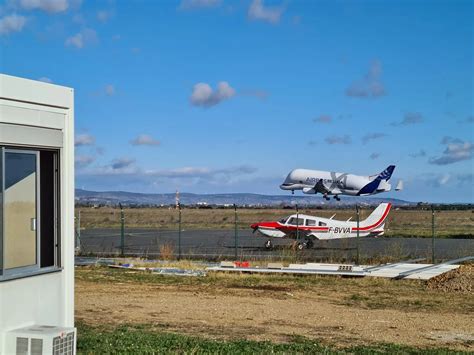 BBW Decides To Take Over The Bed Scrolller