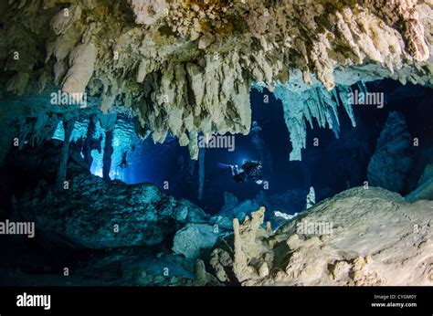 Cenote Dos Ojos, Tulum (Playa del Carmen), Yucatan, Mexico Stock Photo - Alamy