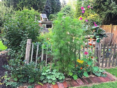 Mein Bauerngarten Ende Juli Outdoor Structures Plants Farmhouse