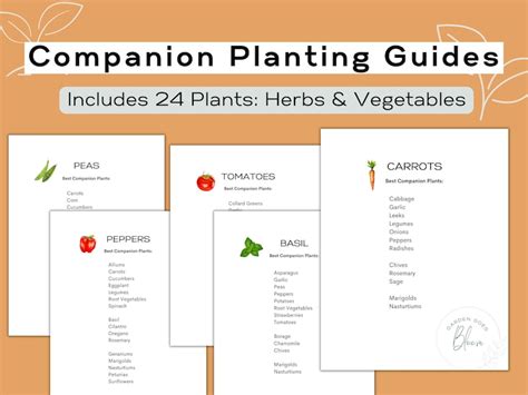 Printable Companion Planting Chart Quick Garden Reference Etsy