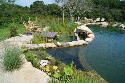 Natural pools design ideas – a swimming pond without chemicals