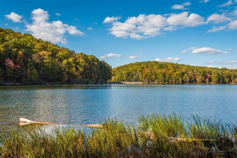 Early Autumn Color at Greenbrier Lake, at Greenbrier State Park in ...