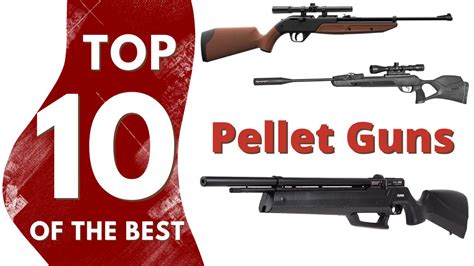 Best Pellet Guns Air Rifles - Top 10 Picks