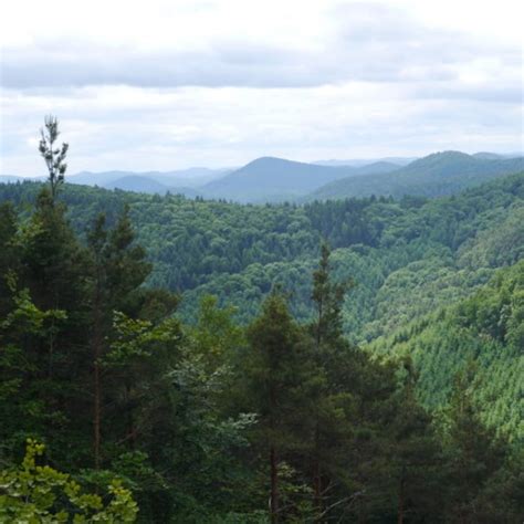 Wandern Pf Lzer Rundwanderung Mit Einkehr Nelloh Tte Tour