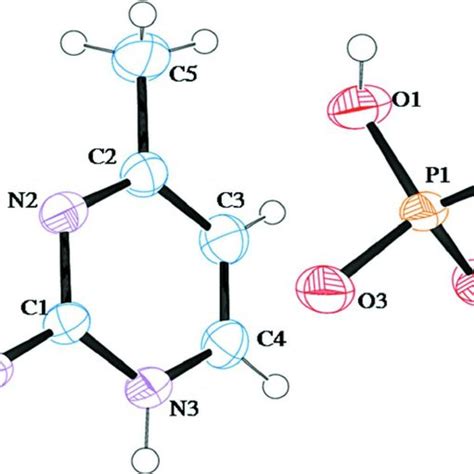 Ortep View Of The Title Compound With The Atom Numbering Scheme Download Scientific Diagram