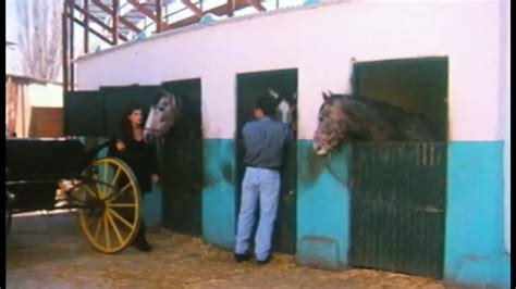 Tanya Hansen Porn Videos Porn Star Sex Scenes XHamster