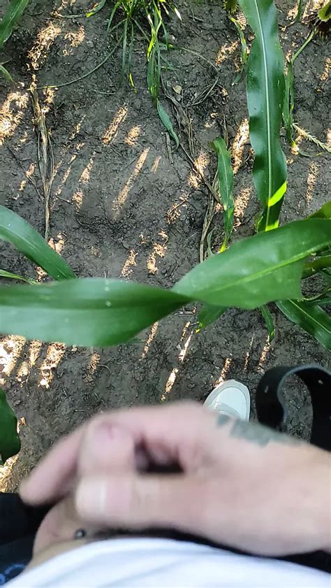 Pissing Gay Amateur Amateur Porn Feat Olieke Xhamster