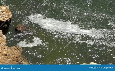 Pollution of the Black Sea. Stock Footage - Video of environmental ...