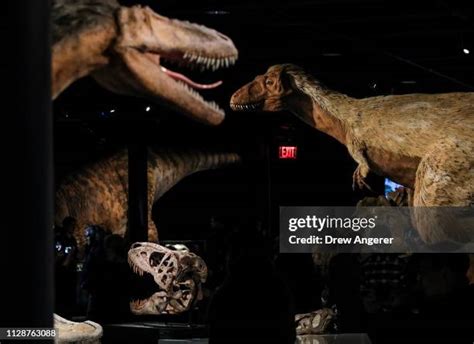 T Rex Habitat Photos and Premium High Res Pictures - Getty Images