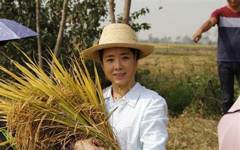 農村勞動力匱乏，人工成本高！種植大戶大部分都在賠錢？ 每日頭條