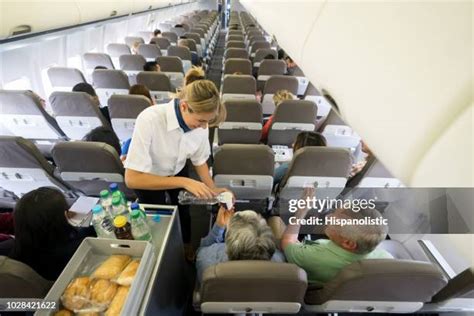 Air Hostess Serving Food Photos And Premium High Res Pictures Getty