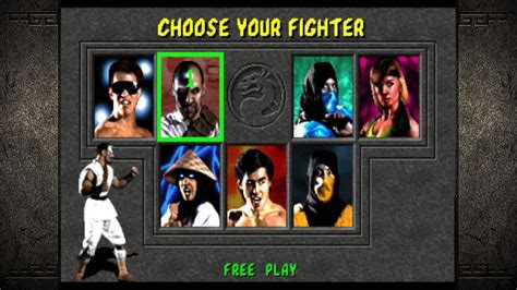 Mortal Kombat (1992) Characters - Full Roster of 7 Fighters