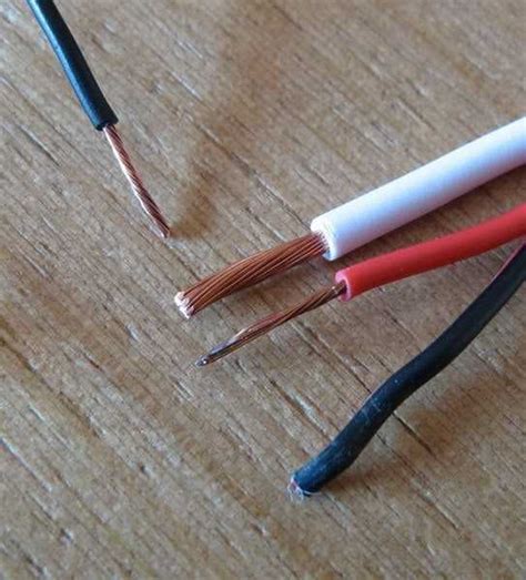 Jeftini Zvucnici Od Babe Devojka Zvu Nici Diyaudio Rs