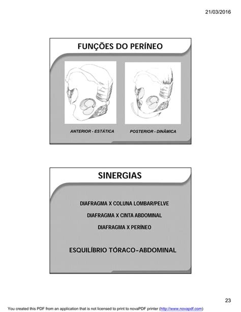 Biomecanica E Cinesiologia Da Coluna Vertebral Pdf