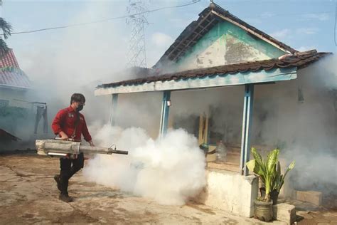 Aedes Aegypti Hantui Kota Madiun Warga Winongo Terjangkit Dbd Radar