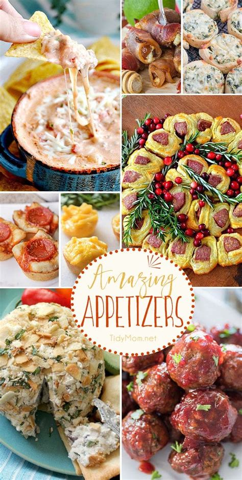 amazing appetizer recipes tidymom