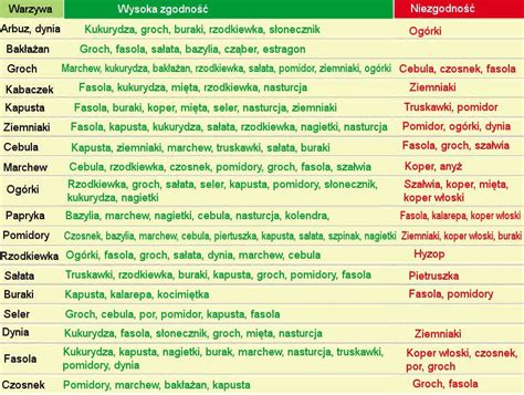 Jakie Kwiaty Sadzi W Sierpniu Kwiaty Polska