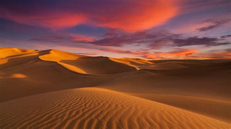 Deserto Mojave - Qual é o maior deserto do mundo? - Olhar Digital