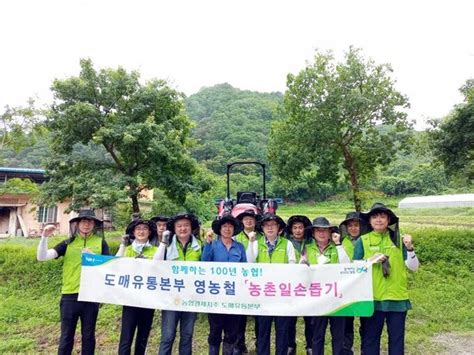 농협경제지주 전국 농촌 및 축산 농가 일손돕기에 구슬땀 네이트 뉴스