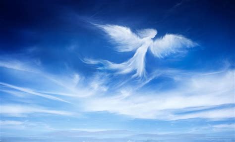 An angel cares, shares and inspires | Inspired Stillness | Brahma Kumaris 