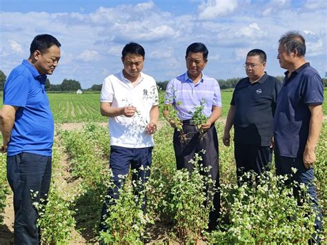 国家乡村振兴重点帮扶县库伦科技特派团为乡村振兴注入科技力量澎湃号·政务澎湃新闻 The Paper