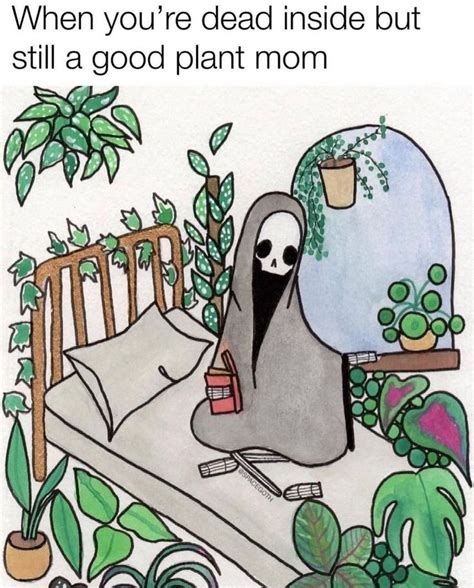 Houseplantparadise On Instagram All Plant Moms Are Great