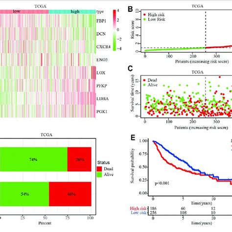 Prognostic Value Of The Hypoxia Related Risk Signature In The TCGA