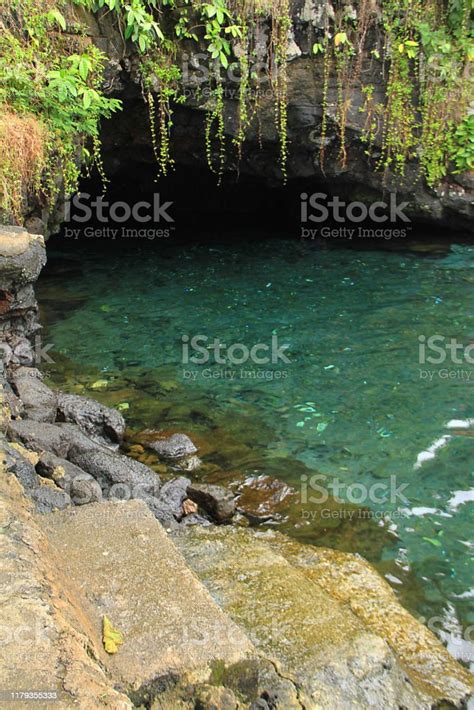 Piula Cave Pool Is A Natural Freshwater Pool By The Sea Beneath The ...