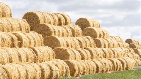 Свежите тюки сена | Евгений | Flickr