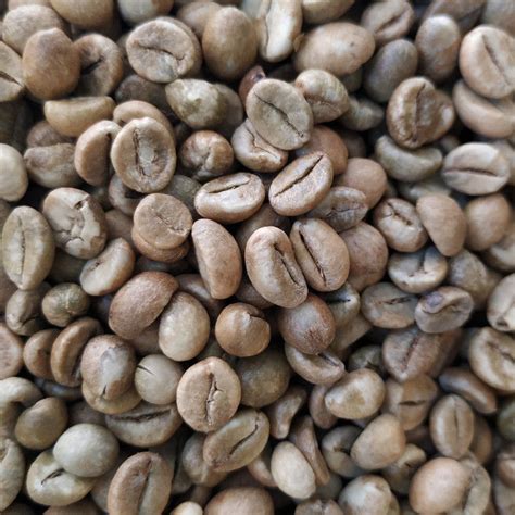 Robusta Green Bean Coffee Inaexport