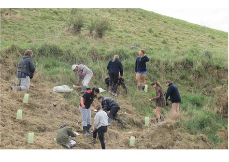 Riparian Plantings Project