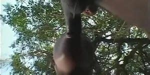 Ass Picnic Tnaflix